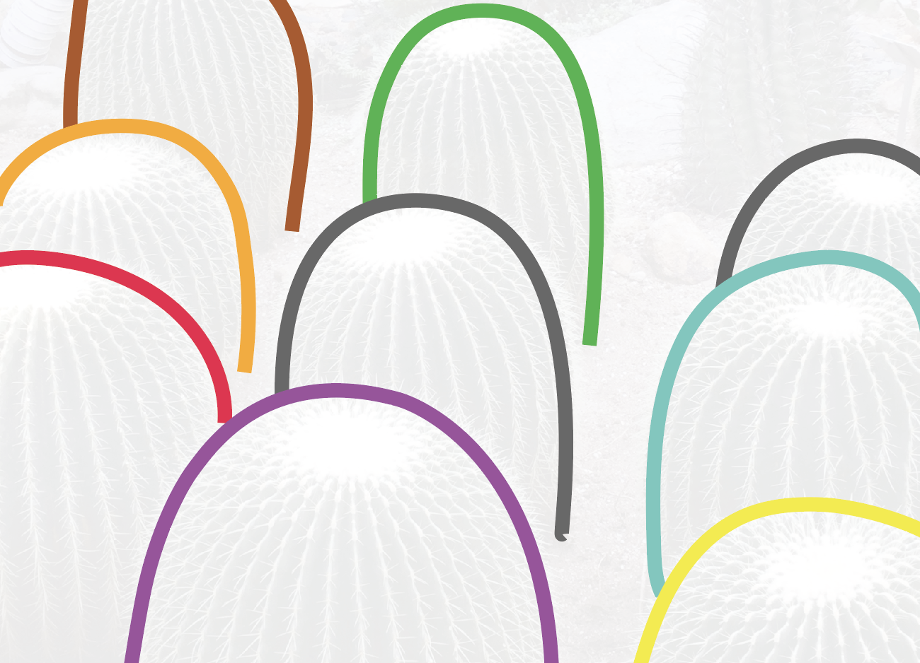 Screen Shot 2018-08-30 at 3.45.00 PM