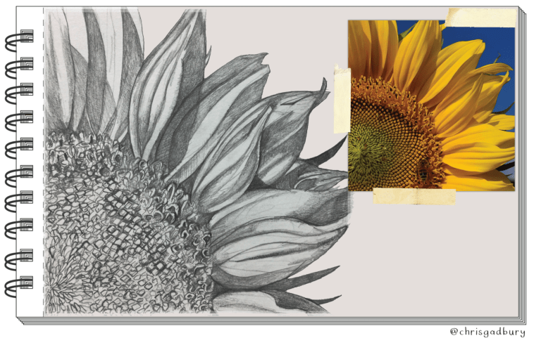 Screen Shot 2018-09-21 at 7.58.31 AM