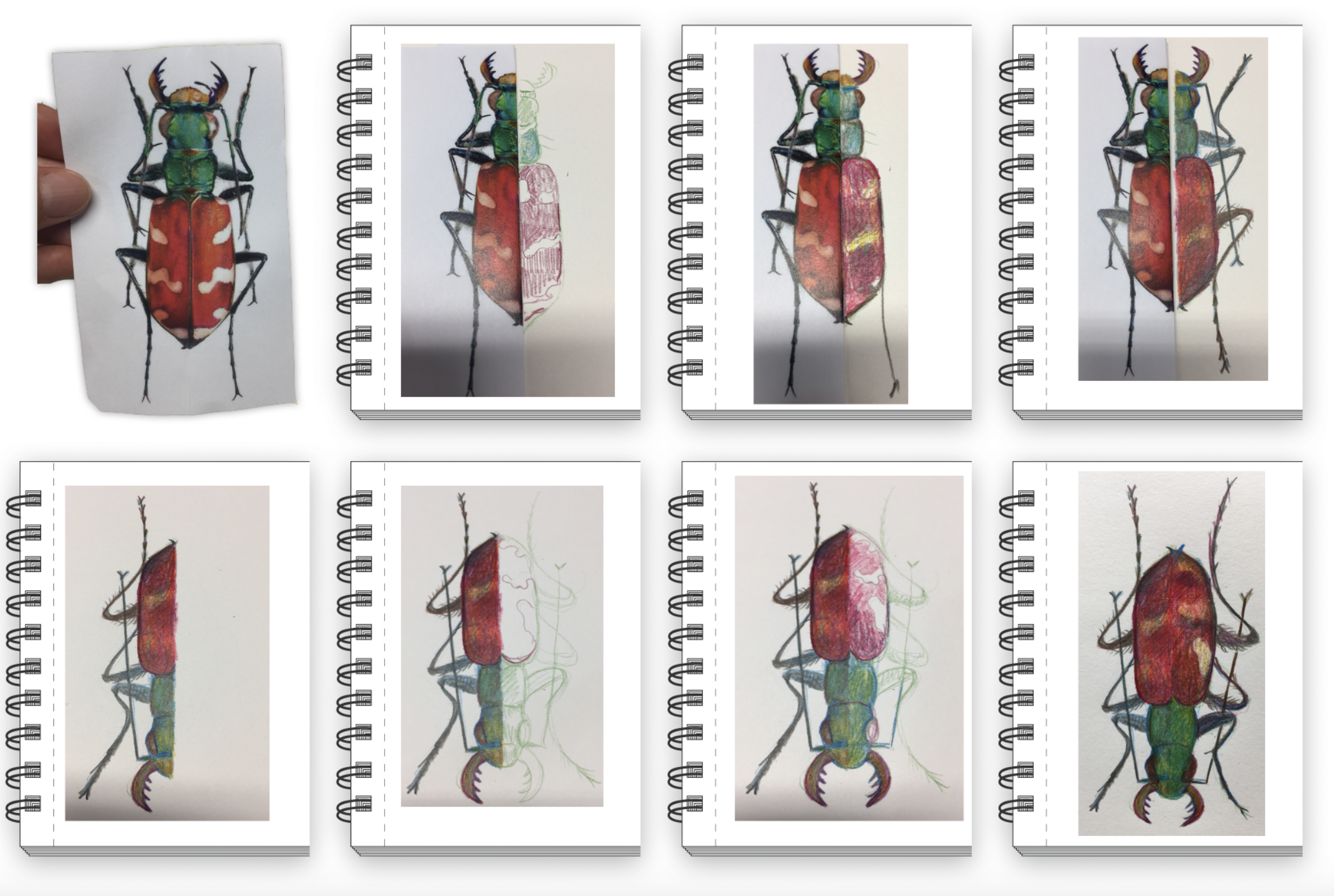 Screen Shot 2018-11-13 at 8.08.50 AM