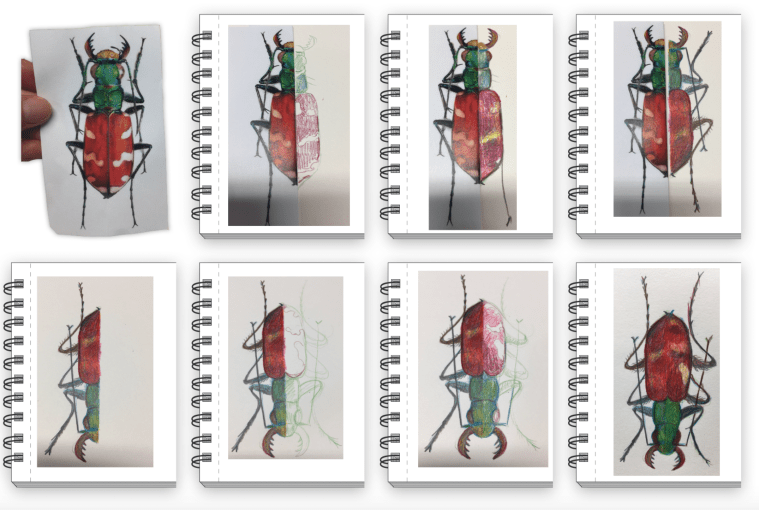 Screen Shot 2018-11-13 at 8.08.50 AM