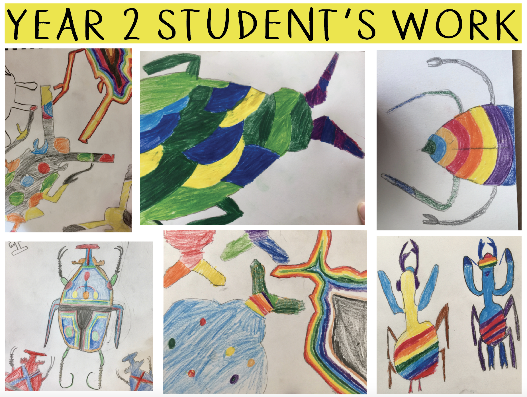 Screen Shot 2018-12-05 at 8.19.15 AM.png